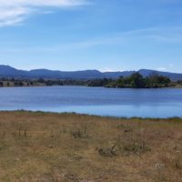 RAYOS Y QUIOTILLOS10