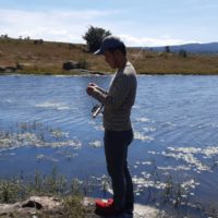 RAYOS Y QUIOTILLOS11