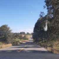 RAYOS Y QUIOTILLOS CAMINO